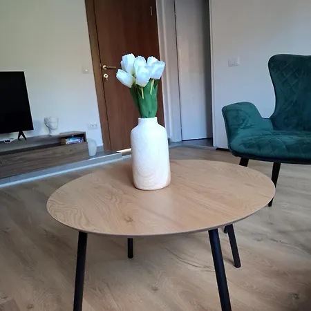 Golubacki Visovi Apartment *