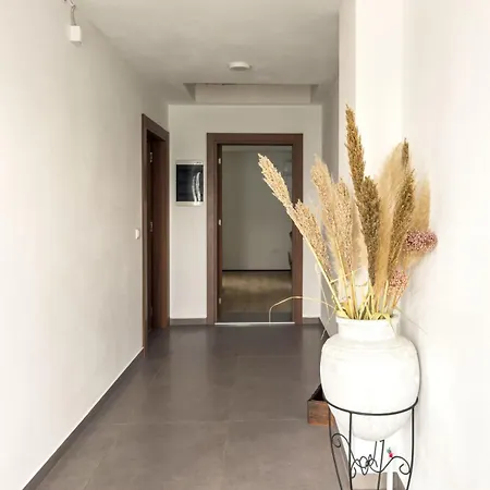 Golubacki Visovi Apartment Golubac