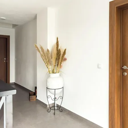 Golubacki Visovi Apartment Golubac