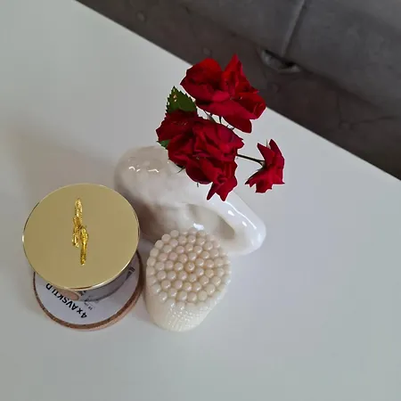 Golubacki Visovi Apartment *