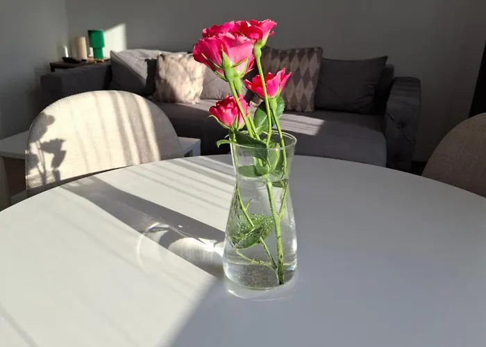 アパート Golubacki Visovi ゴルバッツ